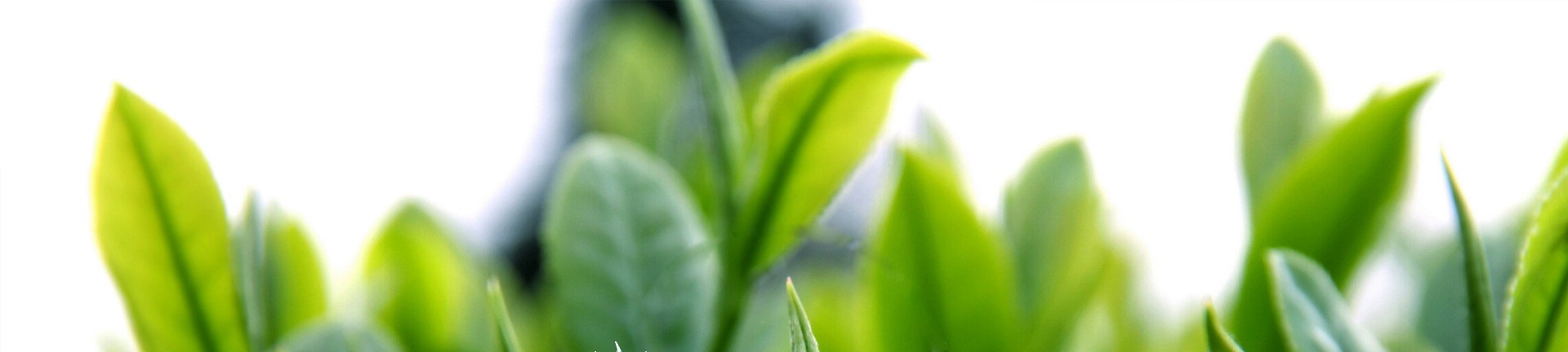 tp钱包安卓版app下载